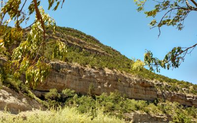 Honor Latino Conservation Week Year-Round – Op Ed