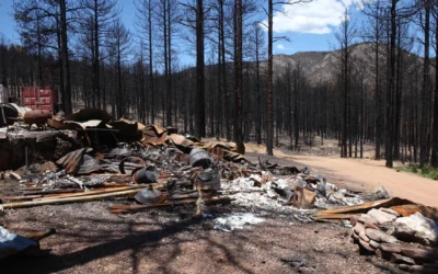 For New Mexico Wildfire Victims, FEMA’s Apology is Not Enough 